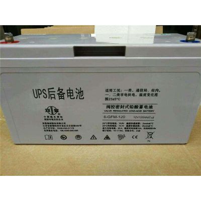 双登铅酸电池12V120AH双登蓄电池价格