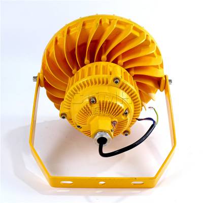 100W ac220vled ͷ