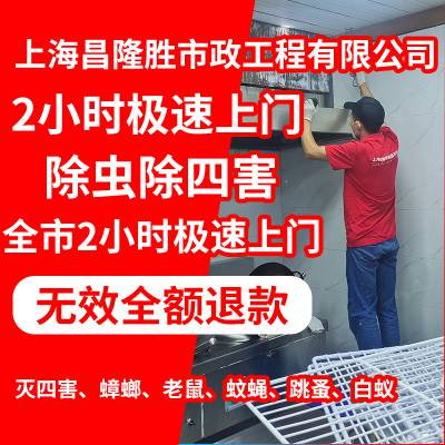 金山区上门抓老鼠除虫灭鼠除蟑螂灭跳蚤除螨虫灭蜈蚣24小时上门