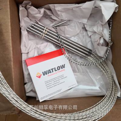 watlowȹE2A72-E12watlowȹE2A72-E12watlow