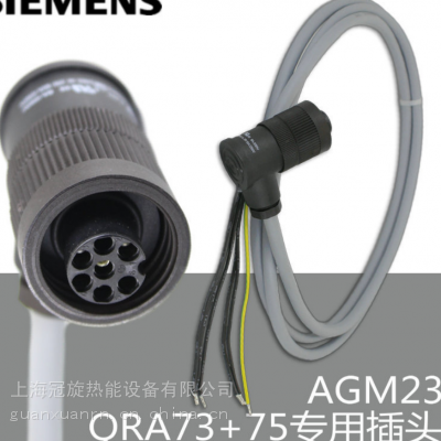 上海冠旋热能销售低氮柴油燃烧器利雅路用德国火检探测仪AGM23