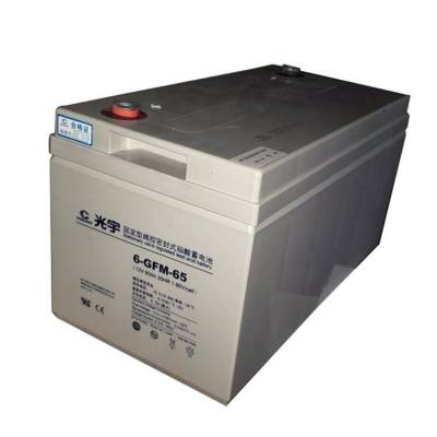 光宇蓄电池6-GFM-200 12V200AH基站储能 直流屏 UPS/EPS电源