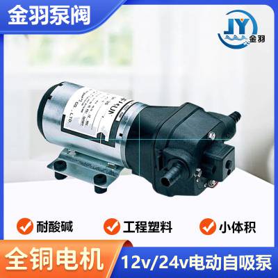 供应DP直流隔膜泵DP-35微型电动自吸泵12V/24V高压水泵现货直销