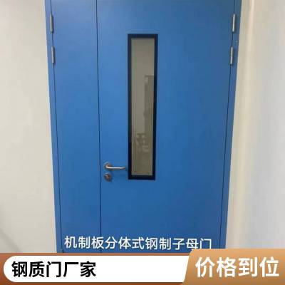 净化车间钢制净化门 实验室钢制气密洁净门 药厂钢制成品平开门