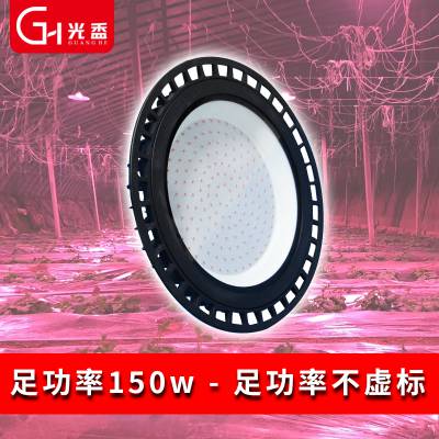 BGHCU150W LEDȫֲ 岣Сƹ