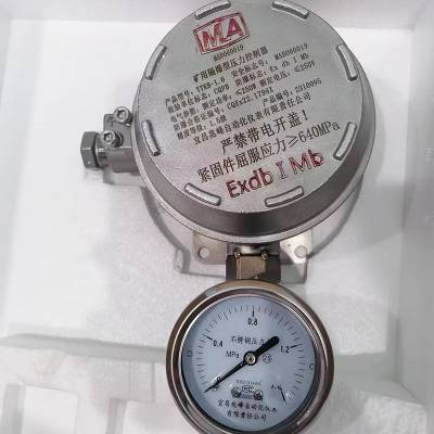 矿用隔爆型压力控制器YTKB-1.6