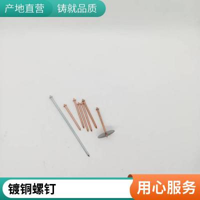 船用 镀铜碰钉 船体用焊钉 不易变形 国内优质供应商 实力工厂