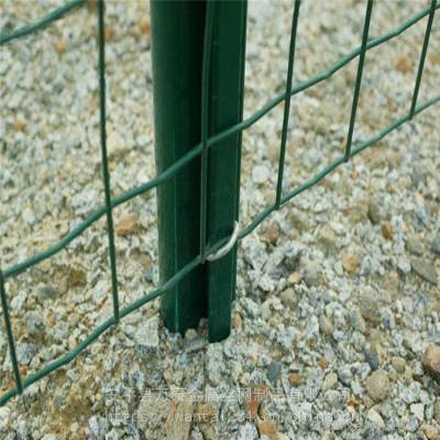 养殖铁丝网 放养铁丝防护网 便宜的养殖网