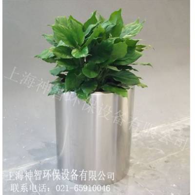 2021ӦĴֻ(SZHPY-111)