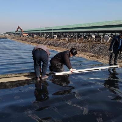 四川土工膜 HDPE土工膜 养殖土工膜 防渗膜