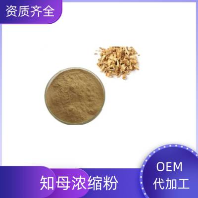 知母浓缩粉 比例提取 80-120目 多种规格 水溶性好