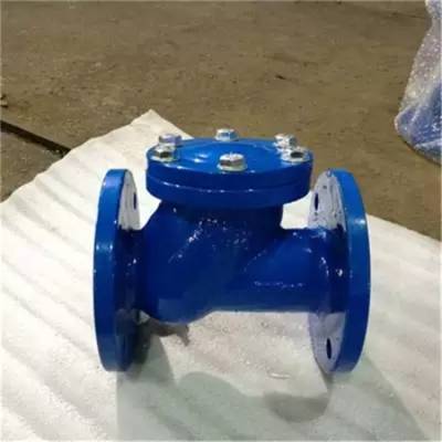 HQ41X-16P DN300不锈钢球型止回阀滚球式止回阀球墨铸铁铸钢不锈钢材质
