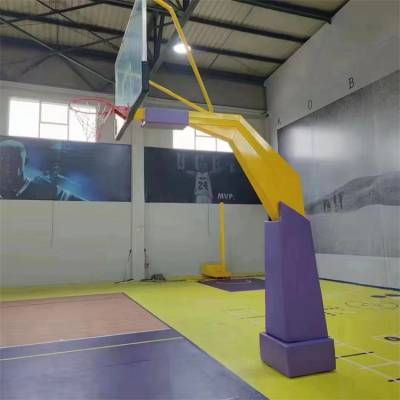 巨翼鸟 固定篮球架子 标准球架子 移动儿童球架 地埋式框架