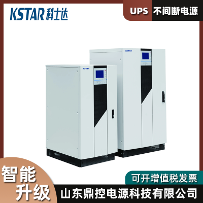 特鲁森科/士达YDC9101S-RT机架式UPS不间断电源1KVA900W内置电池