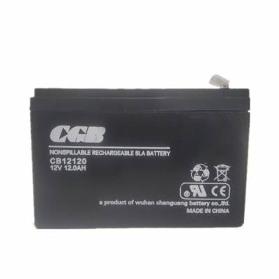 人 ֱCGB12V40AH ߵѹUPSԴ ȫ