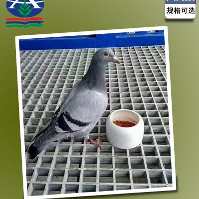 华强供应 鸽舍公棚地网 养殖家禽用踏板 复合25厚