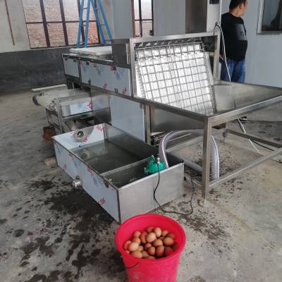 xhbp2鸡蛋鸭蛋剥壳机小型松花蛋脱壳机商用熟鸡蛋去壳机器