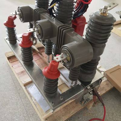 10kv户外柱上真空断路器诚信企业