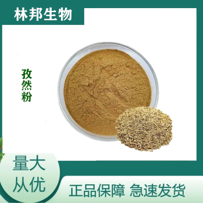 孜然粉厂家 可水溶 质量稳定 林邦生物 烧烤牛羊排烤肉串撒料 调味料