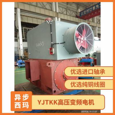 西玛SIMO高压调速电机YJTKK4006-4-450kw 变频范围广5-50HZ 噪音低