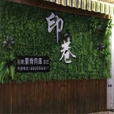 背景墙塑料植物辣椒波斯草假花草仿真绿化门面招牌壁挂人造绿植墙