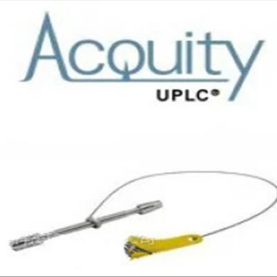 Ӧ ACQUITY UPLC HSSɫ