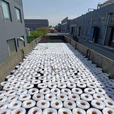 外露 单面自粘防水卷材 海驰 楼顶防水用改性沥青 自粘防水卷材