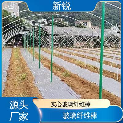 新锐 树脂玻璃纤维棒 复合材料锚固棒 高强度 支持定制