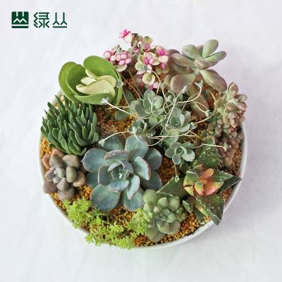 DIYֲ 人ֲ ԰ֲ ̴԰
