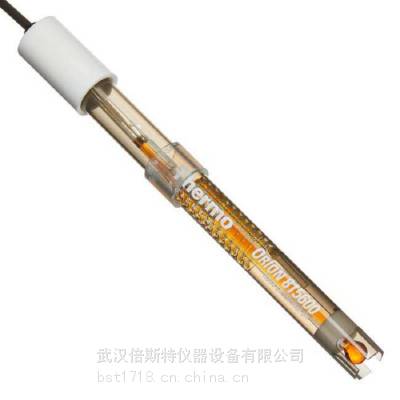 Thermo ������ Orion 815600 ROSS BNC��ͷ ��˹������ pH���ϵ缫