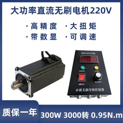 大功率直流无刷电机220v 300W3000转静音无刷电机高速马达 可正反