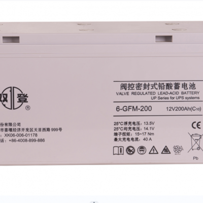 ˫ǷܷʽǦά6-GFM-200C10