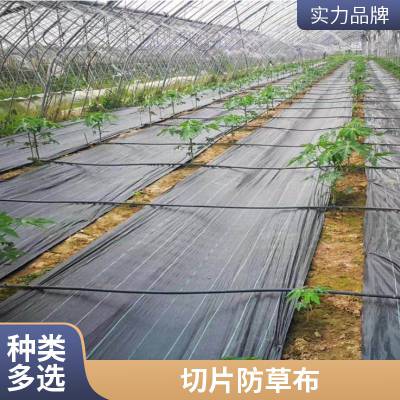 防草布批发 新型生态果园大棚园艺PP防草除草地布 单片打孔除草布