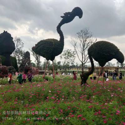 宁夏石嘴山真植物绿雕加工 海鸥、蝴蝶造型