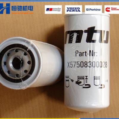 ¹MTU0031845301ȼо