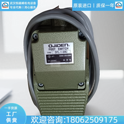 OFL-S-HY日本ojiden大阪电子式脚踏开关OFL-SG5-H2G耐腐蚀