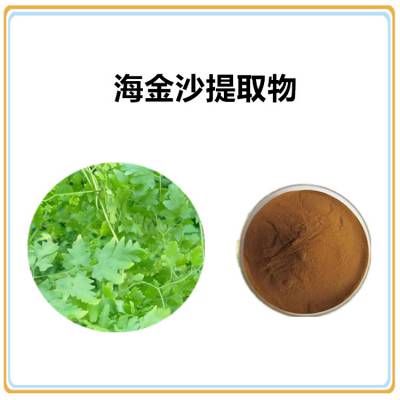 海金沙提取物10:1 浸膏粉 沃特莱斯生物 多规格可定制 喷雾干燥