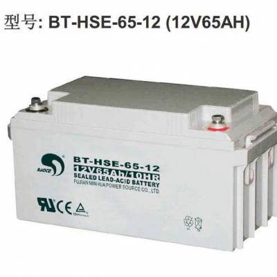 BT-HSE-65-12赛特蓄电池12V6***H/10HR直流屏 UPS电源专用电池