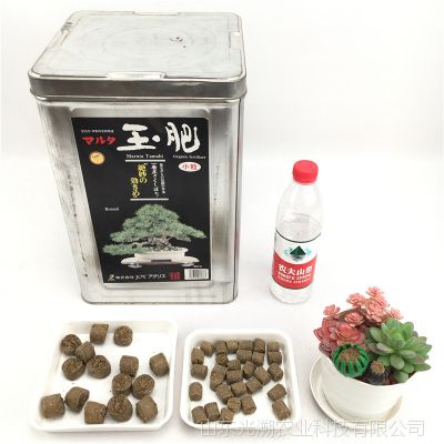 玉肥日本 肥料盆景盆栽园艺家庭缓解肥有机肥颗粒通用绿叶 价格 厂家 中国供应商