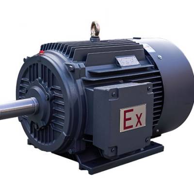 临清市晨阳电机厂