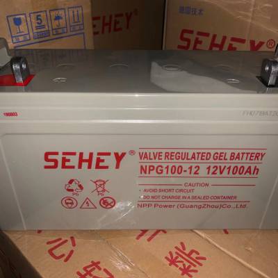 SEHEYSH38-12 12V38AH 