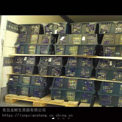 耐雨水大葱出口商_蔬菜大葱_***事菜
