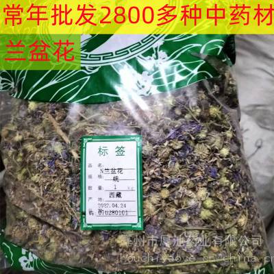 中药材 兰盆花 多少钱一斤 厚池药业 供应玫瑰花