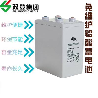 双登蓄电池GFM-1000 免维护 2V1000AH 通讯机房UPS电源 电力系统