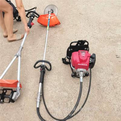 ʽСؿ鱳ʽݻʽ