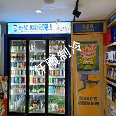 河北展示存储冷库电加热双层中空玻璃进口精酿啤酒展示冷库