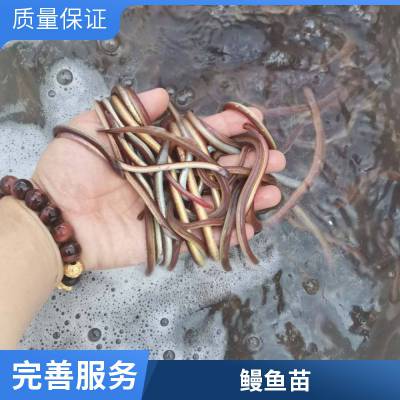 ۷ ŷ عӦ ʵݵ