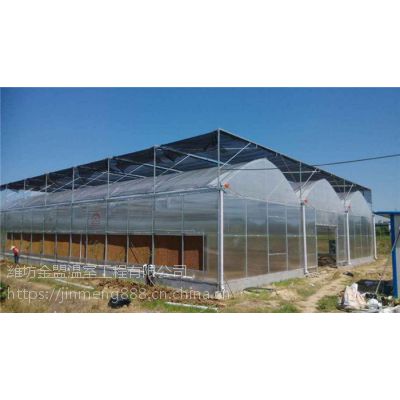 连栋温室结构，薄膜温室大棚，蔬菜薄膜大棚
