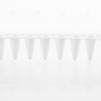 Virya PCR pcr管盖崩开 3310173 八连管0.1mlPCR 规格多选 货号齐全