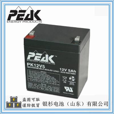 原装PEAK蓄电池PK12V5电子仪器 精密机械设备用12V-***H铅酸电池